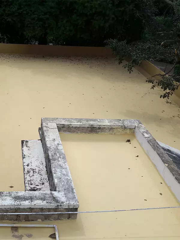 Sports Authority of India 4